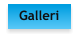 Galleri